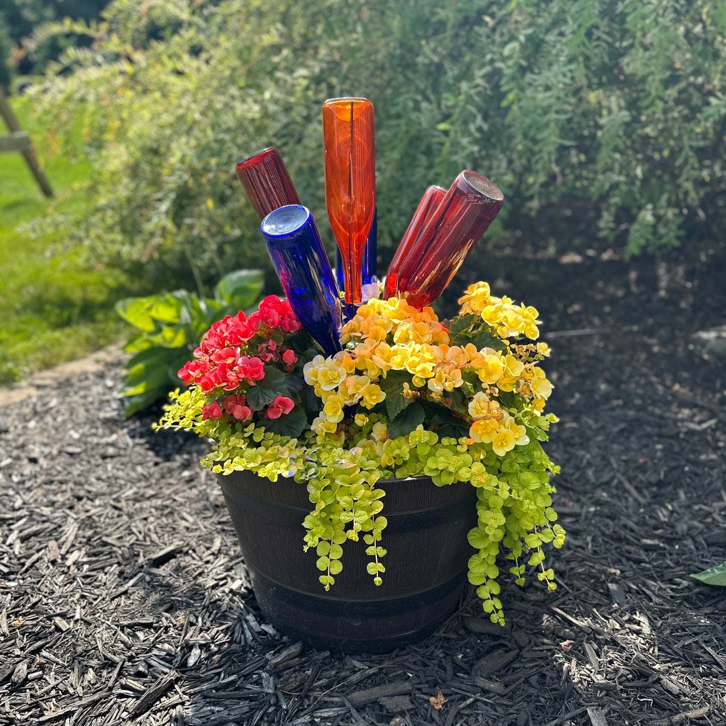 Wine Bottle Tree, Glass Bottle Bush - Organize & Display 6 Bottles with Style - Sturdy Powder-Coated Steel