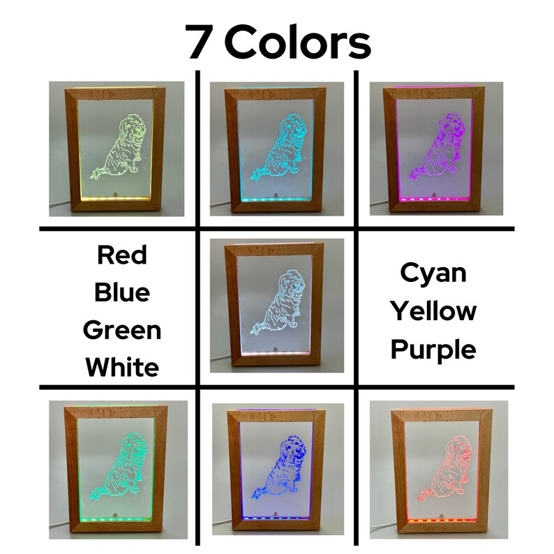 Color Changing Lighted Wood Frame with Custom Pet Photo Etched Into Acrylic, Unique Gift, 7 Color Changing LED Lights - Gift Ready