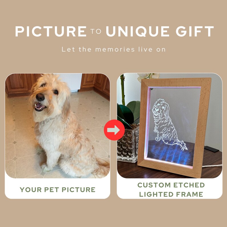 Color Changing Lighted Wood Frame with Custom Pet Photo Etched Into Acrylic, Unique Gift, 7 Color Changing LED Lights - Gift Ready